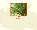 �������� �������