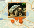 Где купить черепаху в Екатеринбурге?